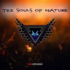 Download track The Souls Of Nature VITALIZER