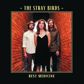 Download track Who's Gonna Shoe The Stray Birds