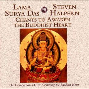 Download track Obstacle Removing And Path-Clearing Prayer (Tibetan Chant Plus Urban Groove) Steven Halpern, Lama Surya Das