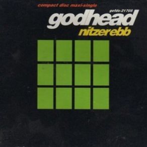 Download track Godhead (Live) Nitzer Ebb