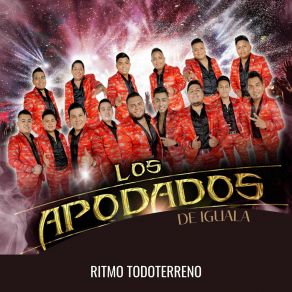 Download track Te Quiero Para Mi / Adios Adios Amor / Nunca Mas Podre Olvidarte / No Te Olvidare Los Apodados De Iguala