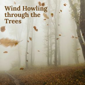 Download track Wind Howling Trought The Trees, Pt. 4 Jim Maddow