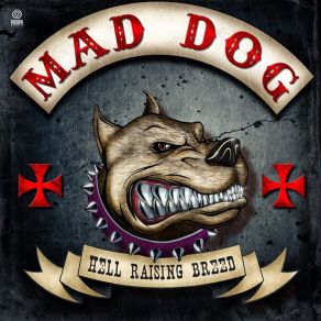 Download track Forajido Mad Dog