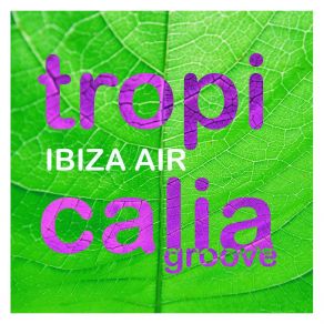 Download track Tropicalia Groove (Dom Paradise Mix Edit) Ibiza Air