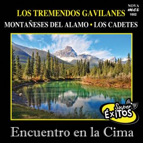 Download track Quiero Volver Los Montaneses Del Alamo