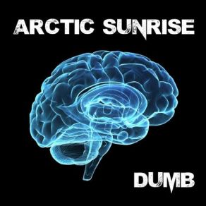 Download track Dumb (V-Nerv Remix) Arctic Sunrise