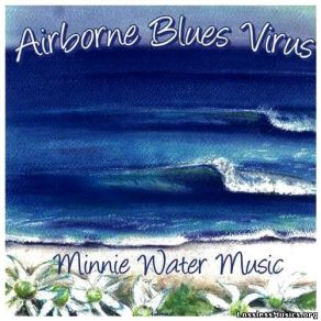 Download track Hold Airborne Blues Virus