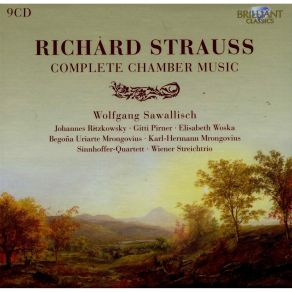 Download track 06-Sonata For Violin And Piano In Es Major Op. 18- Allegro Ma Non Troppo Richard Strauss