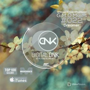 Download track Dream Of You (Dj Natasha Baccardi Remix) Digital DNKSchiller