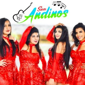 Download track El Vacío De Tu Amor Son Andinos