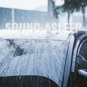 Download track Calming Rainfall Sounds On A Car Roof, Pt. 2 Elijah Wagner