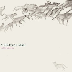 Download track Wolf Like A Stray Dog Norwegian Arms