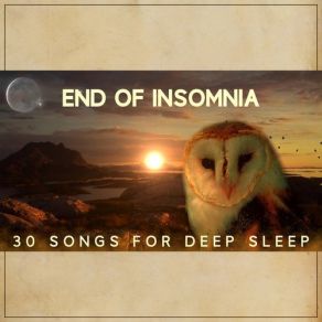 Download track Sweet Dreams Peaceful Sleep Music Collection