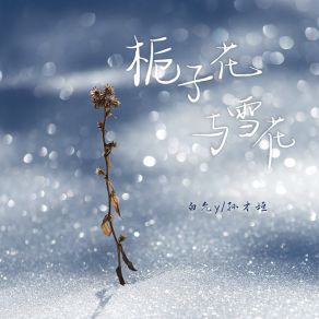 Download track 栀子花与雪花 (DJ版伴奏) 德朋