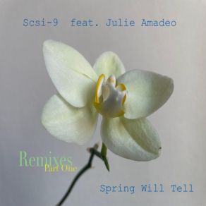 Download track Spring Will Tell (Root Remix) RootJulie Amadeo