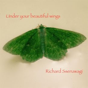 Download track Searching For Harmony Richard Sseruwagi