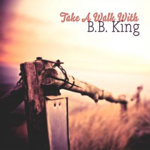 Download track Every Day I Have The Blues B. B. King