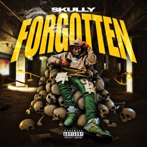 Download track Im The Reason Skully