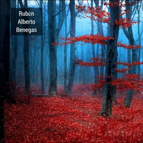 Download track Ida Y Vuelta Rubén Alberto Benegas