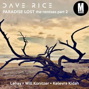 Download track Closer To You (Lehay Remix) Dave RiceLehay