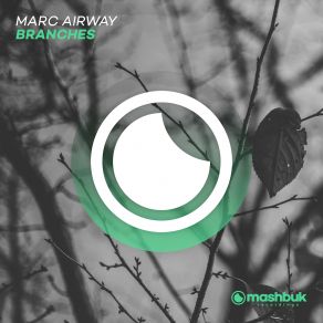 Download track Branches (Original Mix) Marc Airway