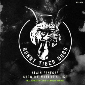 Download track Show Me What It's Like (Original Mix) Alain Fanegas