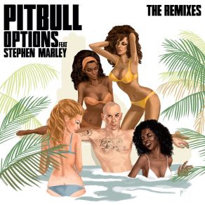 Download track Options 2 Pitbull