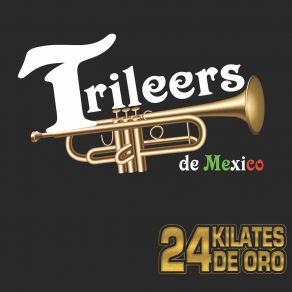 Download track Estoy Llorando Trileers De México