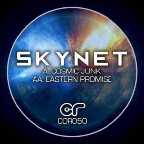 Download track Cosmic Junk (Original Mix) Skynet