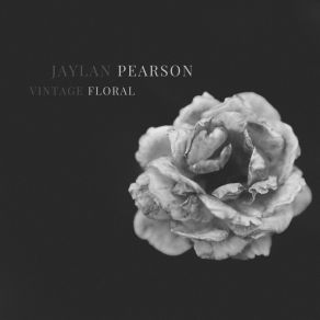 Download track Our Old Happiness Jaylan Pearson