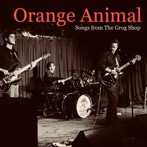 Download track Ain't No Giving In (Live) Orange Animal