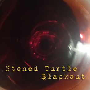 Download track What Are You Waitin' For? Stoned Turtle