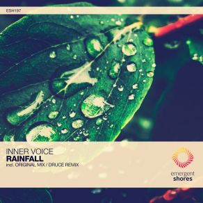 Download track Rainfall (Druce Remix) Druce