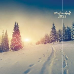 Download track Pale Light (Forest Version) Juan Vidal