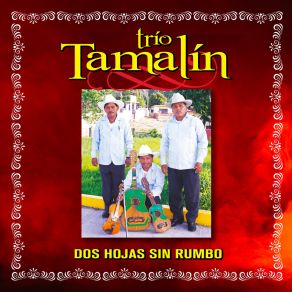 Download track Los Barandales Del Puente (Remasterizado 2024) Trio Tamalin