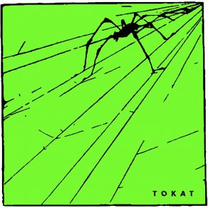 Download track Bone Marrow Tokat