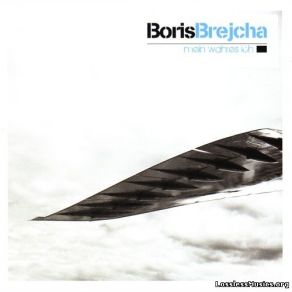 Download track Every Girl Like A Style Boris Brejcha