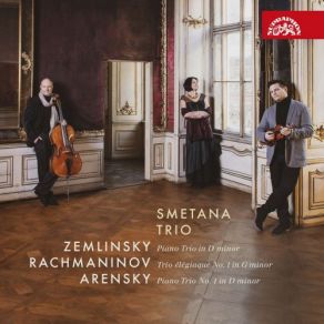 Download track Piano Trio No. 1 In D Minor, Op. 32: No. 3, Elegia. Adagio Smetana Trio