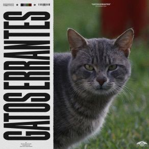 Download track Rest Serene Drowsy Música De Gato