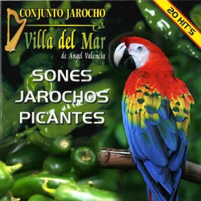 Download track El Cubanito Conjunto Jarocho Villa Del Mar