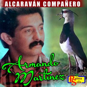 Download track Amor Desconocido Armando Martinez