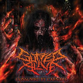 Download track Post-Mortem Explosion Gutted Alive