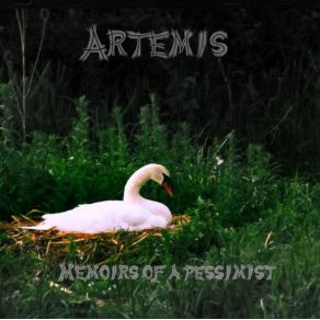 Download track Compassion Artemis