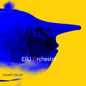 Download track Bolivia ERJ Orchestra