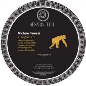 Download track Save The Vinyl (Original Mix) Michele Finessi