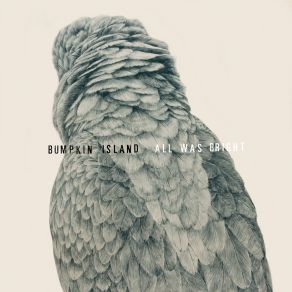 Download track All Was Bright Bumpkin Island