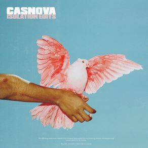 Download track Cure And The Cause (Edit) Casnova