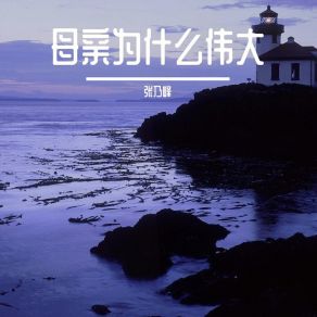 Download track 不知不觉中已经走在了老去的路上 张乃峰