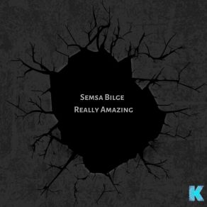 Download track Really Amazing Semsa Bilge