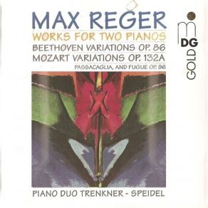 Download track Variationen & Fuge Über Ein Thema Von Mozart Op. 132a - Thema - Var. 1-8 Max Reger